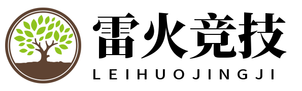 雷火·竞技(中国)-电竞赛事网站